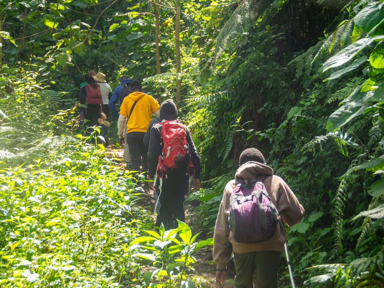 Hiker on Trail
